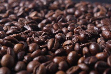 Robusta Coffee Beans