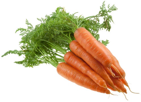 carottes bio avec fanes