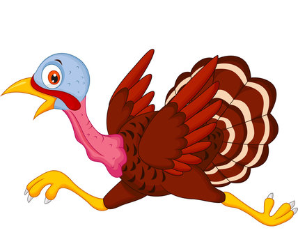 Cartoon turkey running