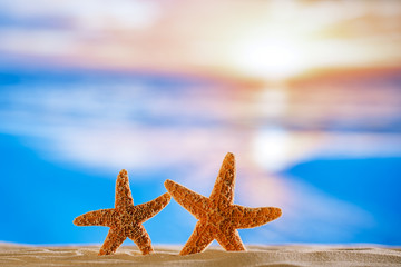 Fototapeta na wymiar starfish with sunrise ocean , beach and seascape