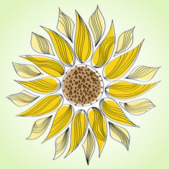 Abstract line sunflower
