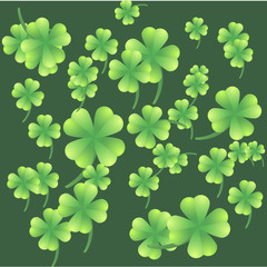Leaves of clover on a green background