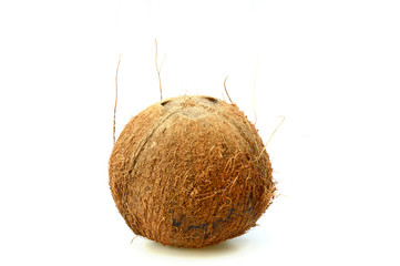 brown hairy of coconut vertical isolated on white background