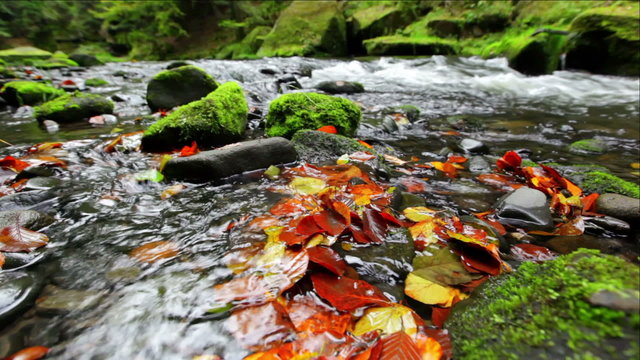 river Kamenice in autumn, Bohemian Switzerland, Czech Republic
