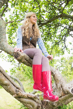Young blonde woman sitting in a tree