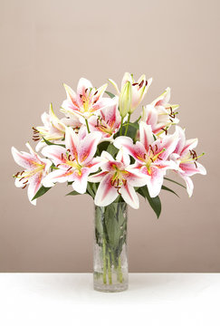 Fototapeta Bouquet of pink lillies in a glass vase