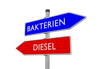 Bakterien vs Diesel