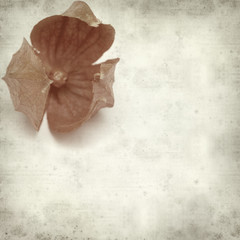 textured old paper background