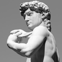David by  Michelangelo - masterpiece of Renaissance sculpture - 57256725