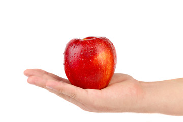 Hand holds red apple.