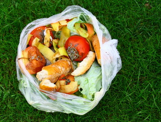 sac de déchets alimentaires pour compost