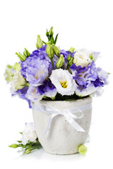 Beautiful eustoma flowers  bouquet