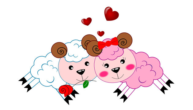 Vector illustration of pair of love sheeps