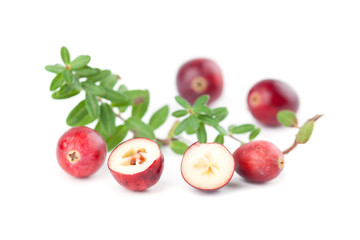 Cranberries on white