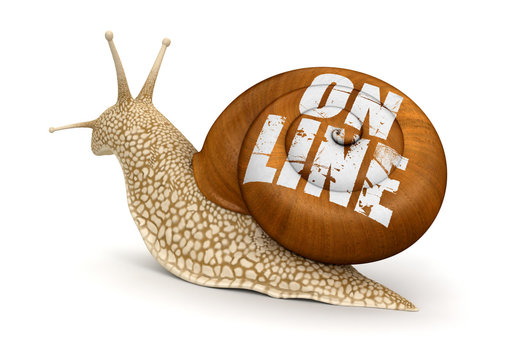 On-line Snail (clipping path included)