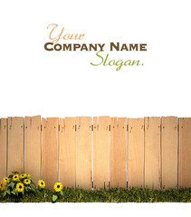 Garden and wooden fence