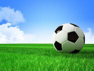 Fototapeta premium soccer football field