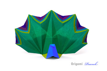 Obraz premium Peacock bird