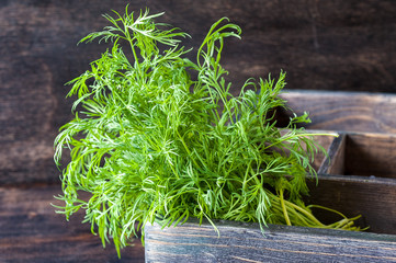 Dill in an old wooden box