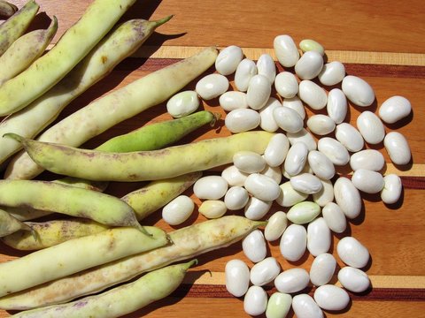 haricots blancs