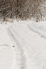 Prints of wheels on a snow