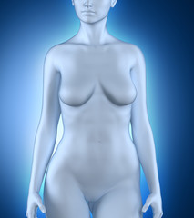 Fototapeta na wymiar Woman in anatomical position