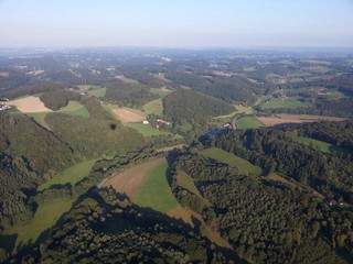 Birds Eye 2