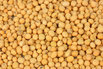 Soy beans close-up