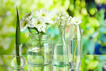 Plants in various glass containers on natural background