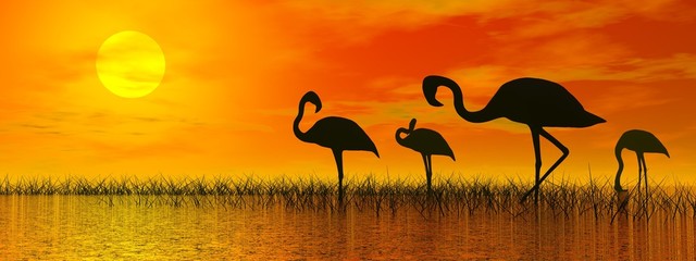 Plakaty  Flamingi o zachodzie słońca - renderowanie 3D
