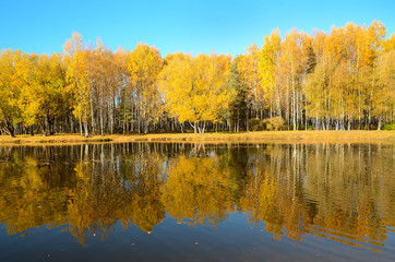 Fototapeta na wymiar Autumn landscape on lake