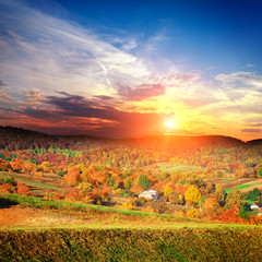 Bautiful yellow autumn Landscape with forest