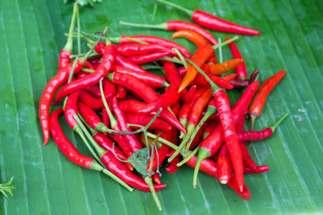 spicy chilli peppers on an asian market