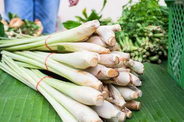 bundle of lemon grass