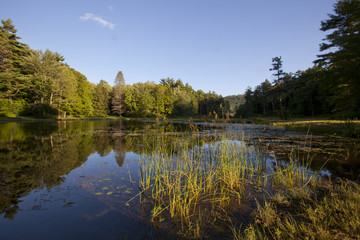 Obraz premium Pond at Wild Acres Park in Pittsfield, Massachusetts