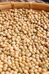 Soy beans