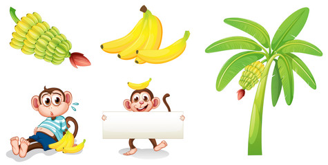 Obraz premium Banany i małpy z pustym szyldem