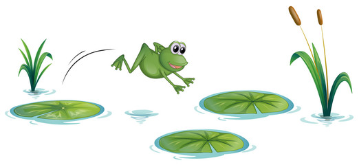 A frog at the pond with waterlilies