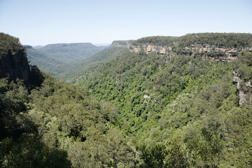 Obraz premium Kangaroo Valley