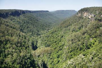 Fototapeta na wymiar Kangaroo Valley
