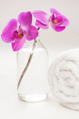 pink orchid and towel