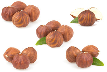 hazelnut nut on white