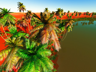 Fototapeta premium Beautiful natural background -African oasis