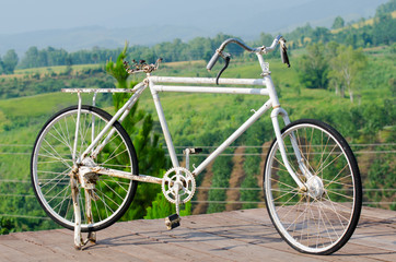 Fototapeta premium Old bicycle park with green background