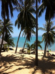 Fototapeta na wymiar Dream Beach on Koh Samui Thailand with Palm Trees