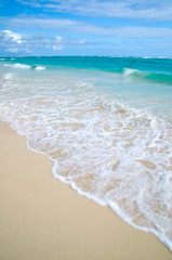 sea
