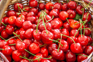 Fresh Red Cherry with Green Leaf
