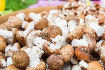 mushrooms on Market