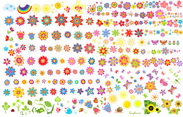 Summer flowers, sun and butterflies