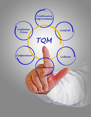 6 Cs of TQM